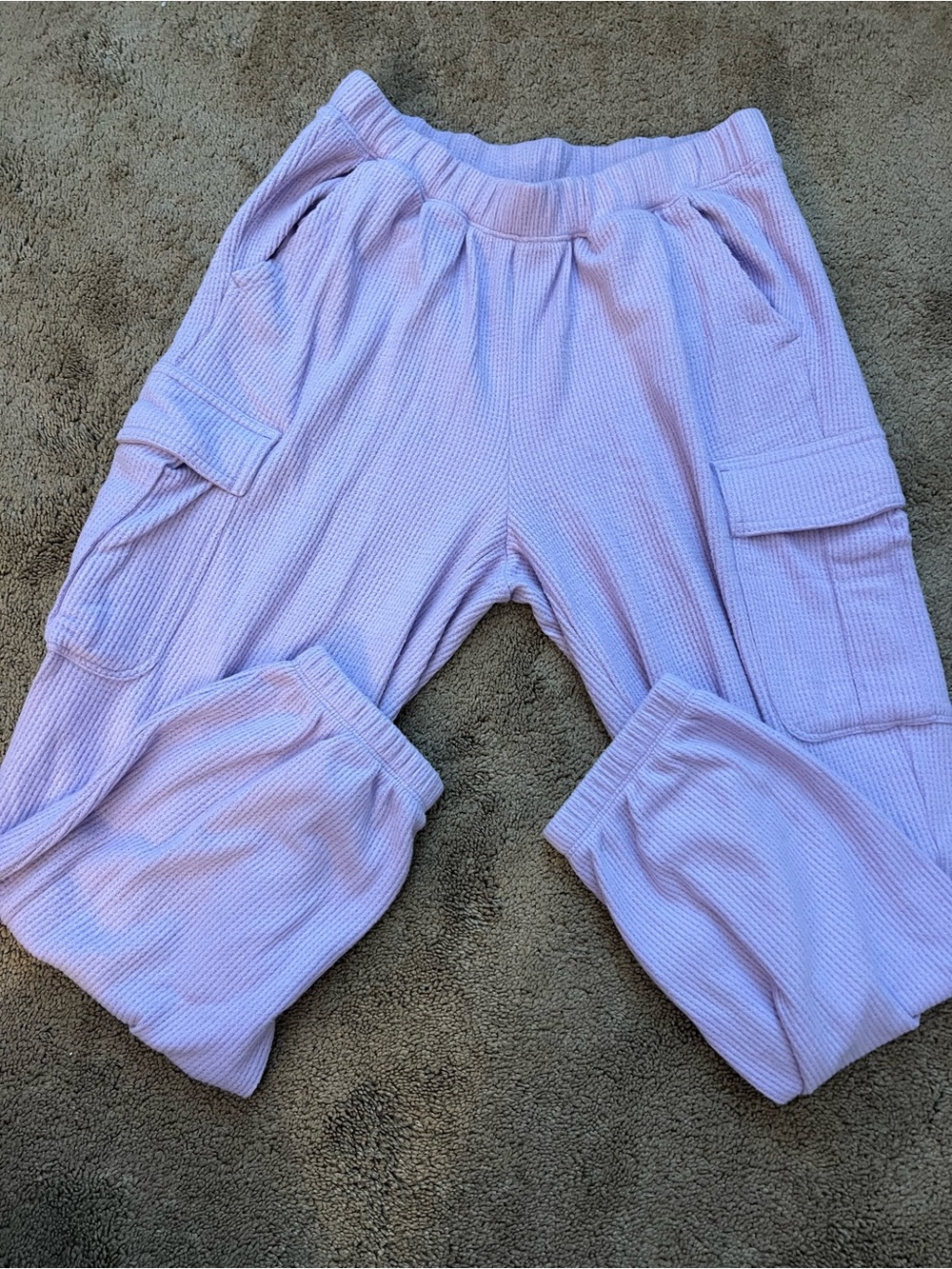 Aerie Purple Sweatpants